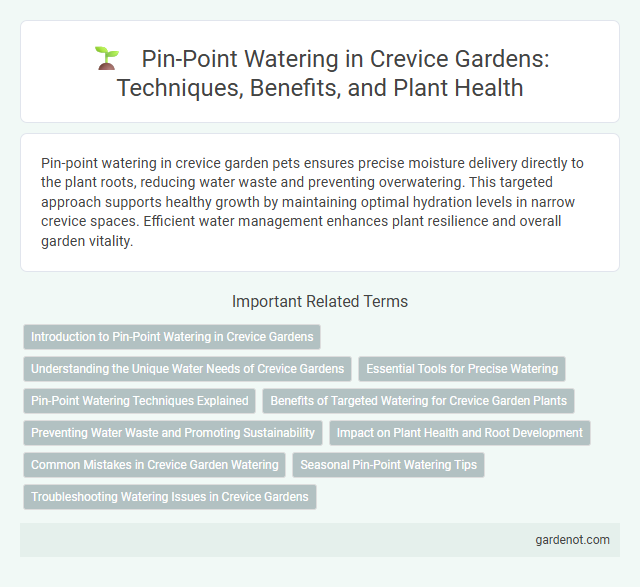 Pin-Point Watering in Crevice Gardens: Techniques, Benefits, and Plant Health