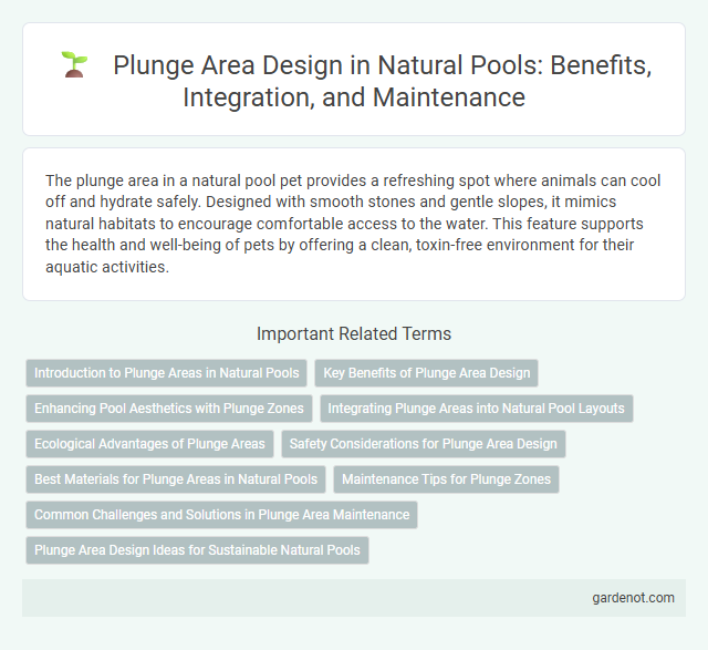 Plunge Area Design in Natural Pools: Benefits, Integration, and Maintenance