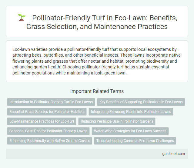 Pollinator-Friendly Turf in Eco-Lawn: Benefits, Grass Selection, and Maintenance Practices