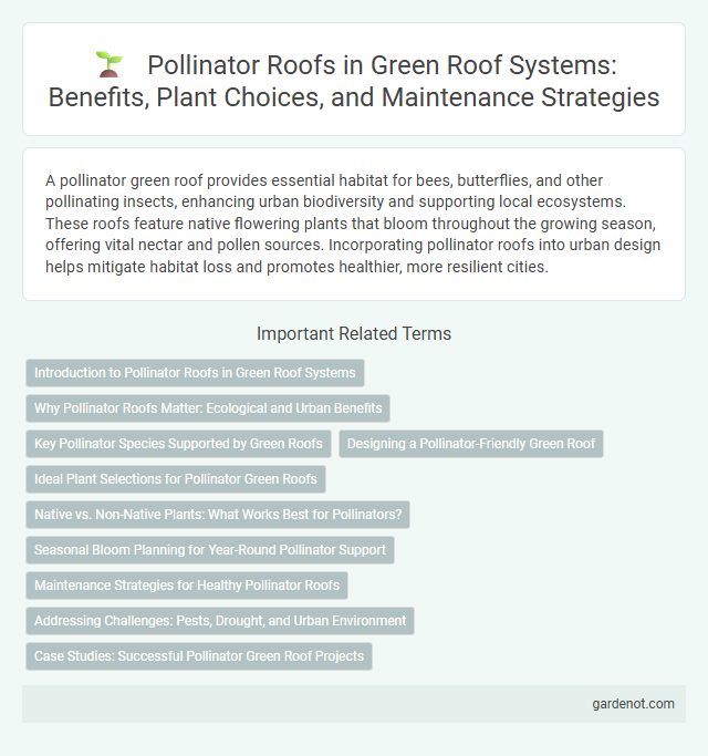 Pollinator Roofs in Green Roof Systems: Benefits, Plant Choices, and Maintenance Strategies