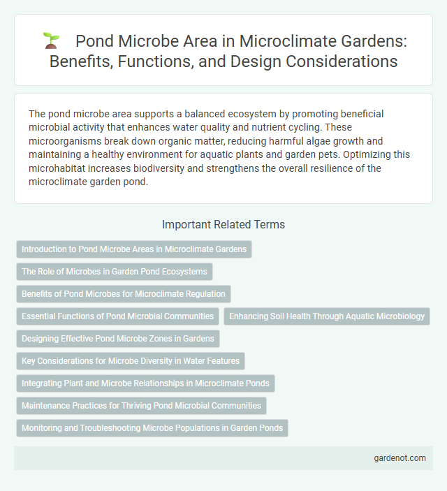 Pond Microbe Area in Microclimate Gardens: Benefits, Functions, and Design Considerations
