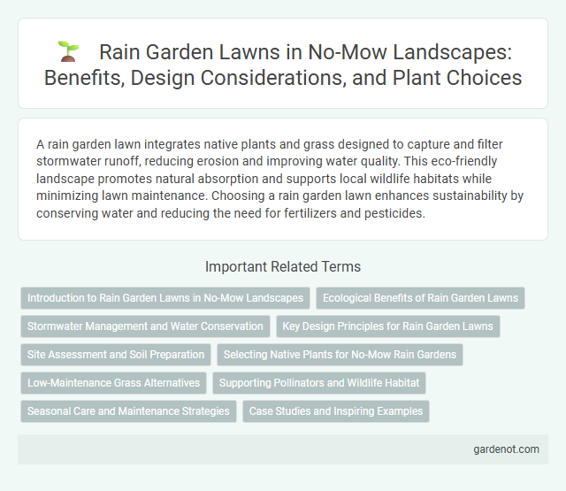 Rain Garden Lawns in No-Mow Landscapes: Benefits, Design Considerations, and Plant Choices