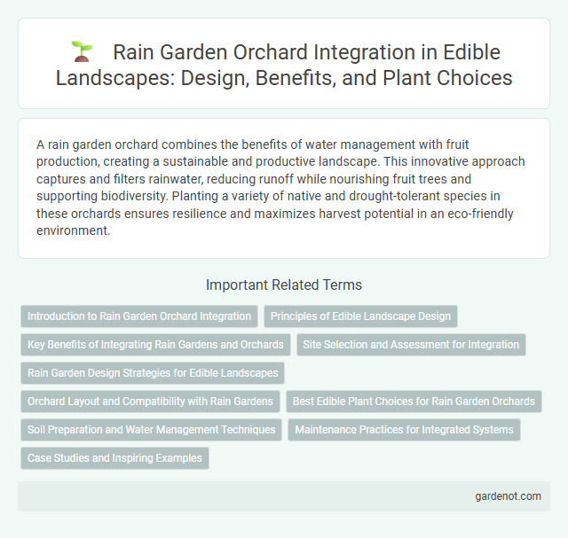 Rain Garden Orchard Integration in Edible Landscapes: Design, Benefits, and Plant Choices