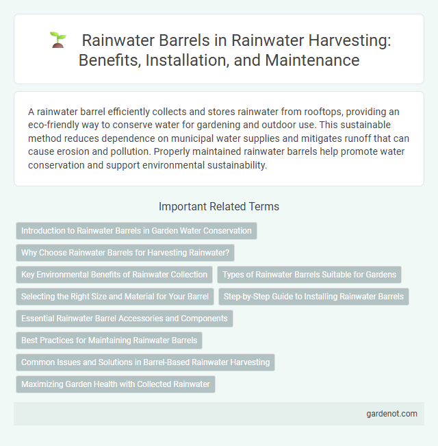 Rainwater Barrels in Rainwater Harvesting: Benefits, Installation, and Maintenance