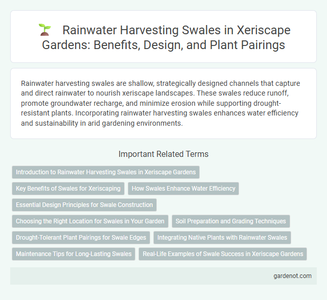Rainwater Harvesting Swales in Xeriscape Gardens: Benefits, Design, and Plant Pairings