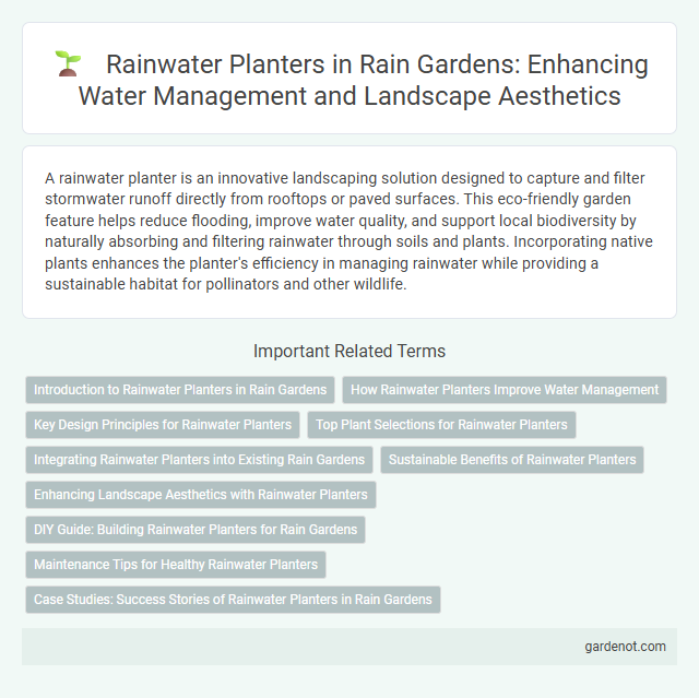 Rainwater Planters in Rain Gardens: Enhancing Water Management and Landscape Aesthetics