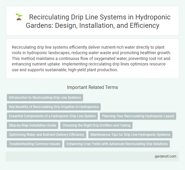 Recirculating Drip Line Systems in Hydroponic Gardens: Design, Installation, and Efficiency