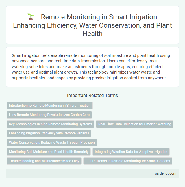 Remote Monitoring in Smart Irrigation: Enhancing Efficiency, Water Conservation, and Plant Health