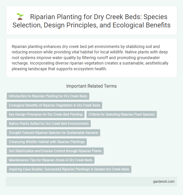 Riparian Planting for Dry Creek Beds: Species Selection, Design Principles, and Ecological Benefits