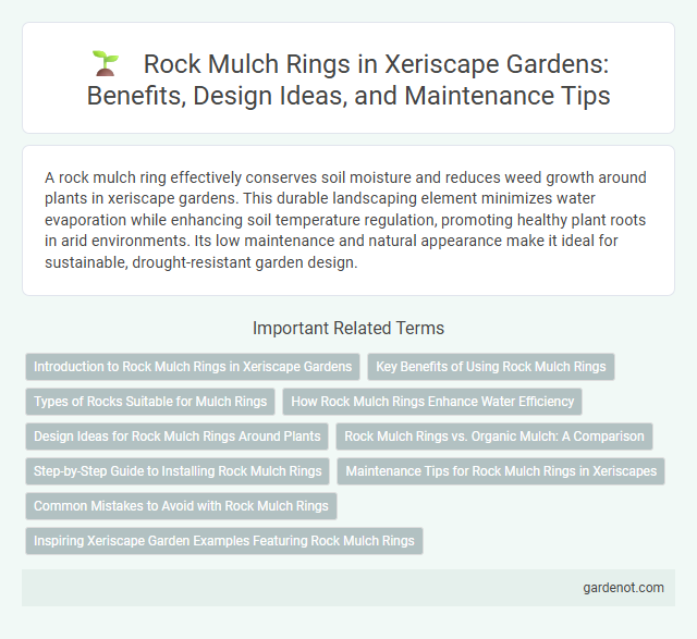 Rock Mulch Rings in Xeriscape Gardens: Benefits, Design Ideas, and Maintenance Tips
