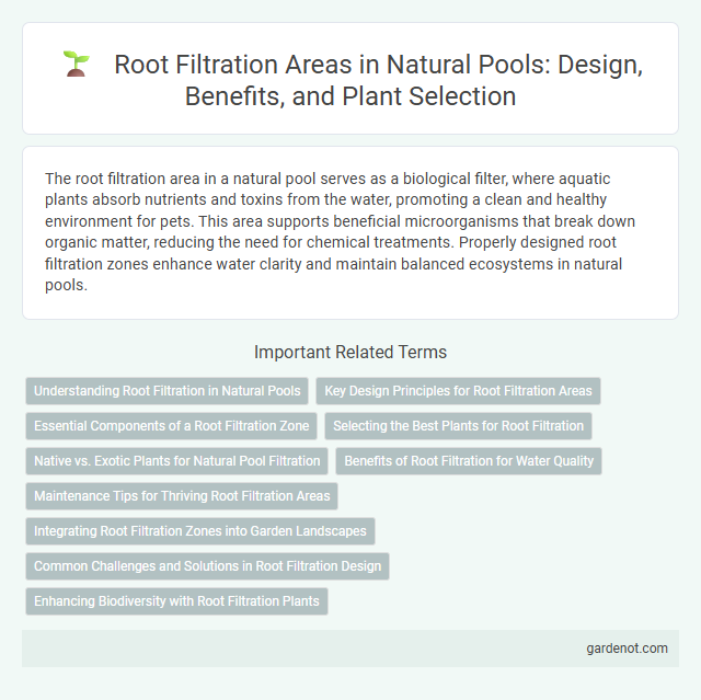 Root Filtration Areas in Natural Pools: Design, Benefits, and Plant Selection