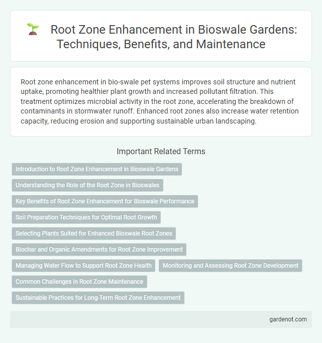 Root Zone Enhancement in Bioswale Gardens: Techniques, Benefits, and Maintenance