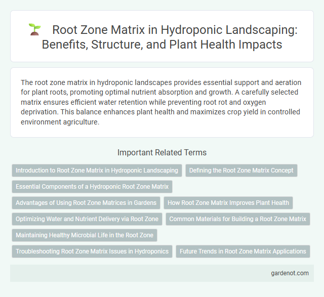Root Zone Matrix in Hydroponic Landscaping: Benefits, Structure, and Plant Health Impacts