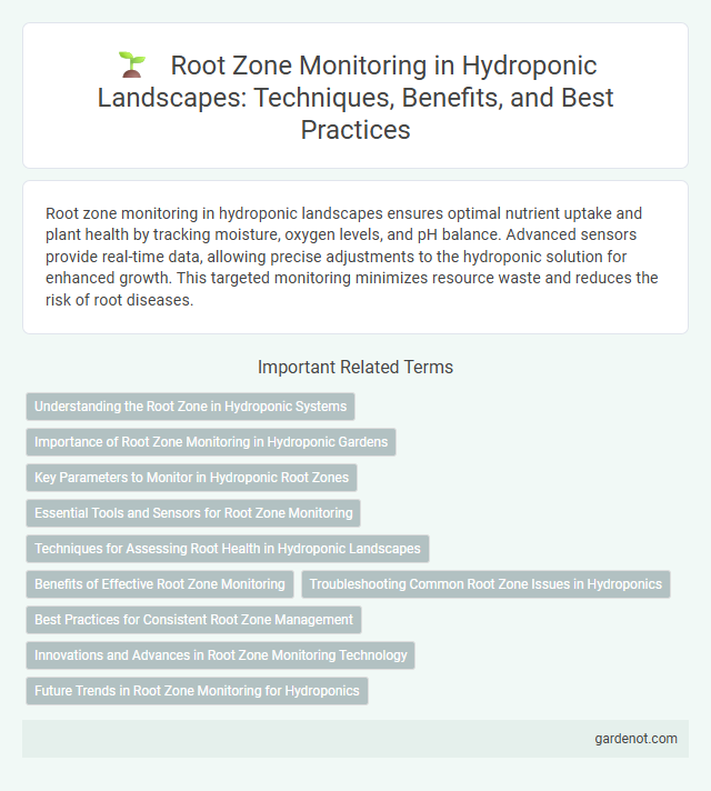 Root Zone Monitoring in Hydroponic Landscapes: Techniques, Benefits, and Best Practices