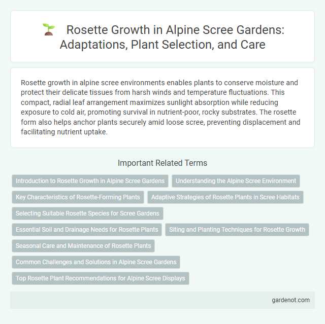 Rosette Growth in Alpine Scree Gardens: Adaptations, Plant Selection, and Care