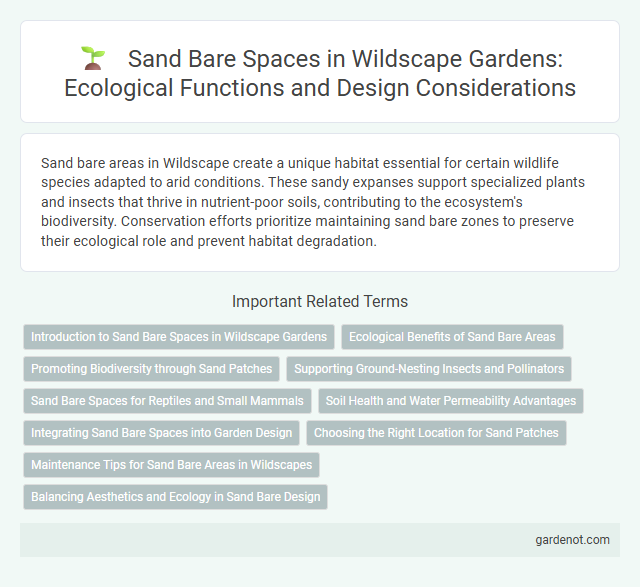 Sand Bare Spaces in Wildscape Gardens: Ecological Functions and Design Considerations