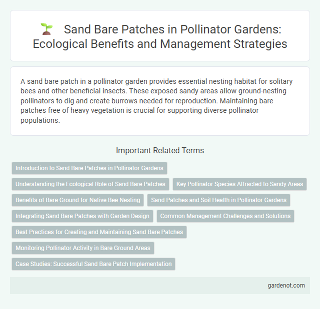 Sand Bare Patches in Pollinator Gardens: Ecological Benefits and Management Strategies