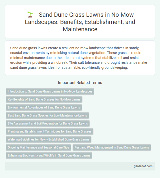 Sand Dune Grass Lawns in No-Mow Landscapes: Benefits, Establishment, and Maintenance