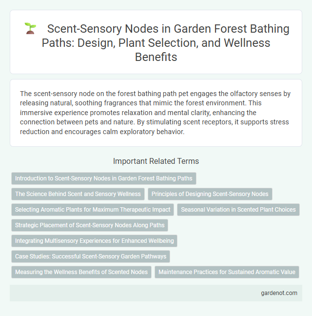 Scent-Sensory Nodes in Garden Forest Bathing Paths: Design, Plant Selection, and Wellness Benefits