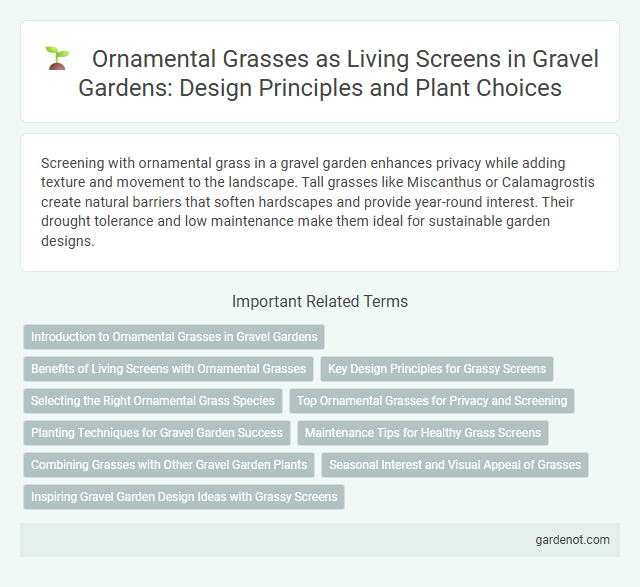 Ornamental Grasses as Living Screens in Gravel Gardens: Design Principles and Plant Choices