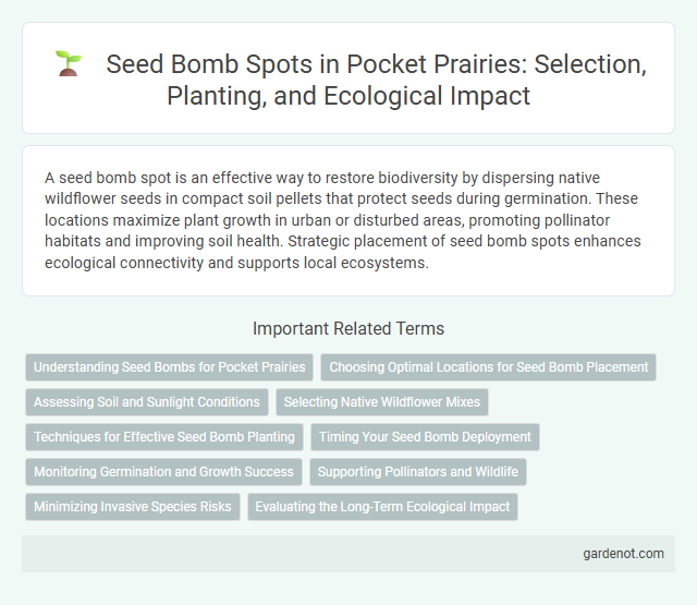 Seed Bomb Spots in Pocket Prairies: Selection, Planting, and Ecological Impact