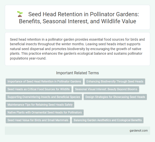 Seed Head Retention in Pollinator Gardens: Benefits, Seasonal Interest, and Wildlife Value