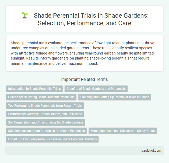Shade Perennial Trials in Shade Gardens: Selection, Performance, and Care