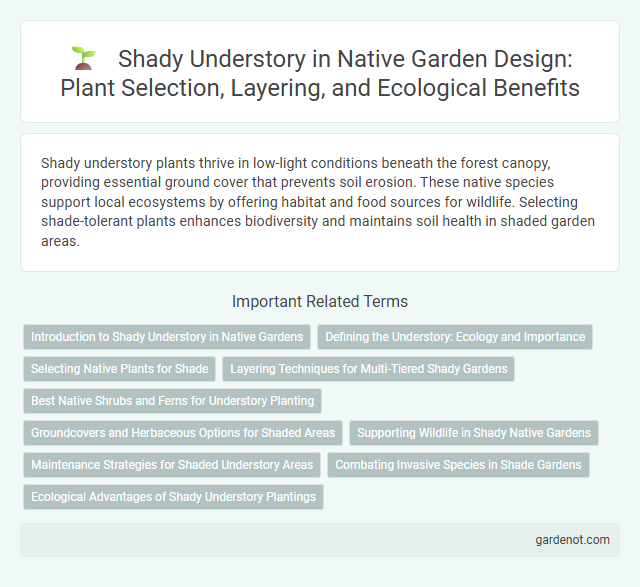 Shady Understory in Native Garden Design: Plant Selection, Layering, and Ecological Benefits