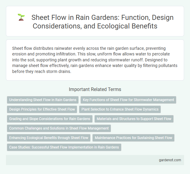 Sheet Flow in Rain Gardens: Function, Design Considerations, and Ecological Benefits