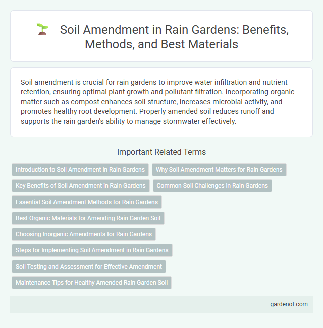 Soil Amendment in Rain Gardens: Benefits, Methods, and Best Materials