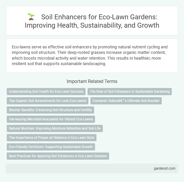Soil Enhancers for Eco-Lawn Gardens: Improving Health, Sustainability, and Growth