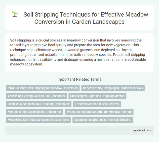 Soil Stripping Techniques for Effective Meadow Conversion in Garden Landscapes