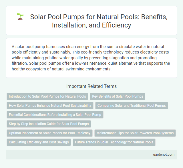 Solar Pool Pumps for Natural Pools: Benefits, Installation, and Efficiency