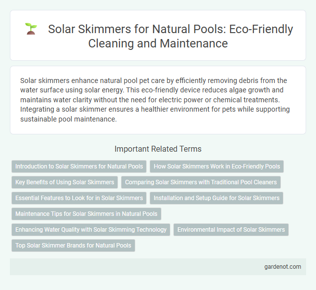 Solar Skimmers for Natural Pools: Eco-Friendly Cleaning and Maintenance