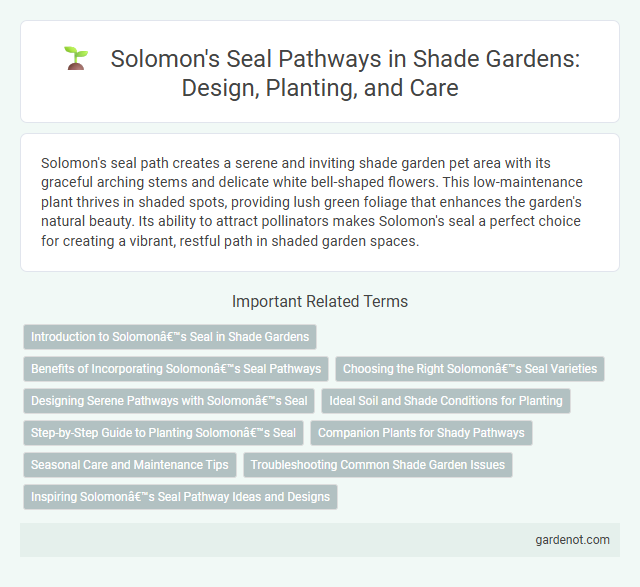 Solomon's Seal Pathways in Shade Gardens: Design, Planting, and Care