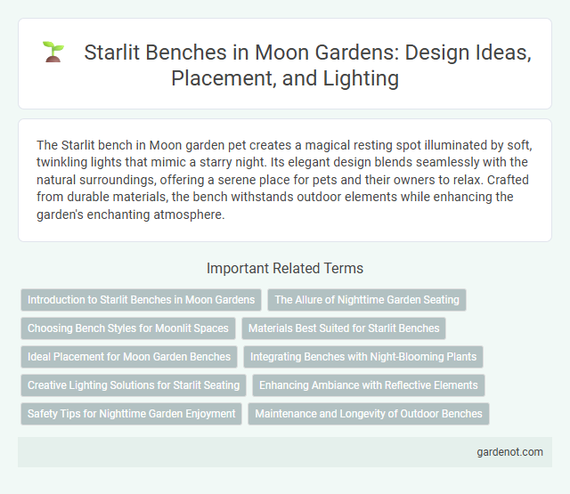 Starlit Benches in Moon Gardens: Design Ideas, Placement, and Lighting