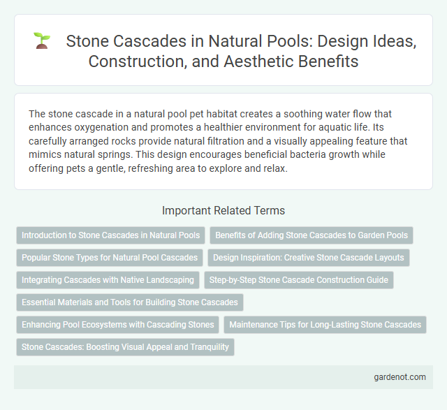 Stone Cascades in Natural Pools: Design Ideas, Construction, and Aesthetic Benefits