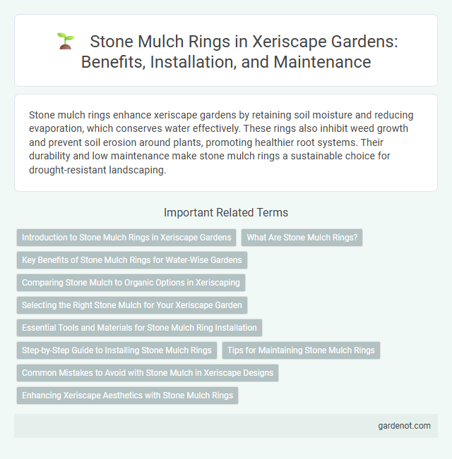 Stone Mulch Rings in Xeriscape Gardens: Benefits, Installation, and Maintenance