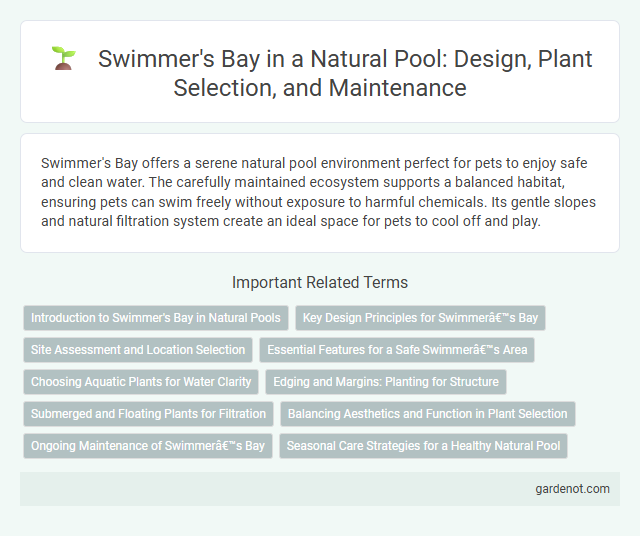 Swimmer's Bay in a Natural Pool: Design, Plant Selection, and Maintenance