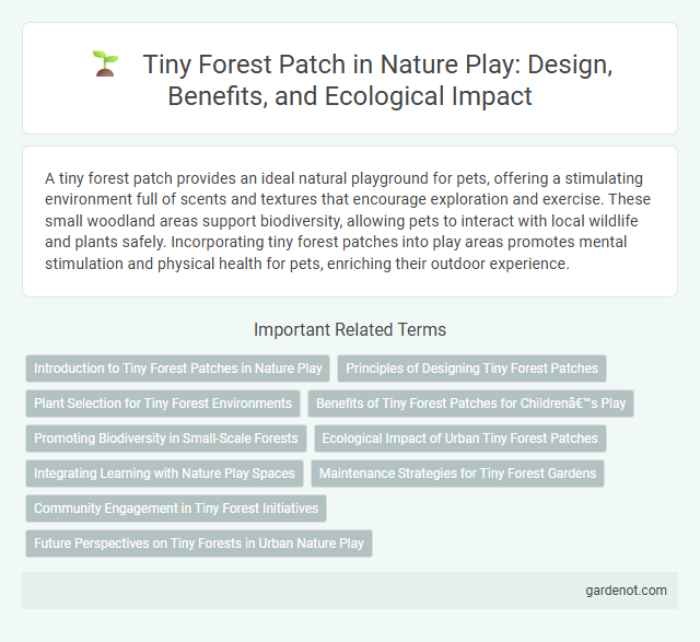 Tiny Forest Patch in Nature Play: Design, Benefits, and Ecological Impact