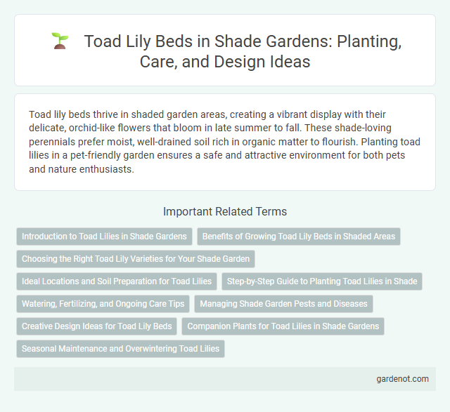 Toad Lily Beds in Shade Gardens: Planting, Care, and Design Ideas