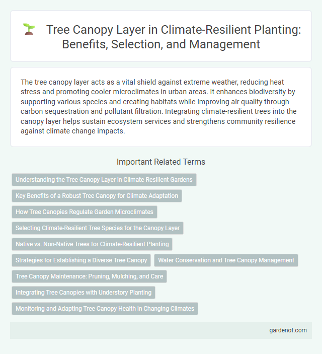 Tree Canopy Layer in Climate-Resilient Planting: Benefits, Selection, and Management