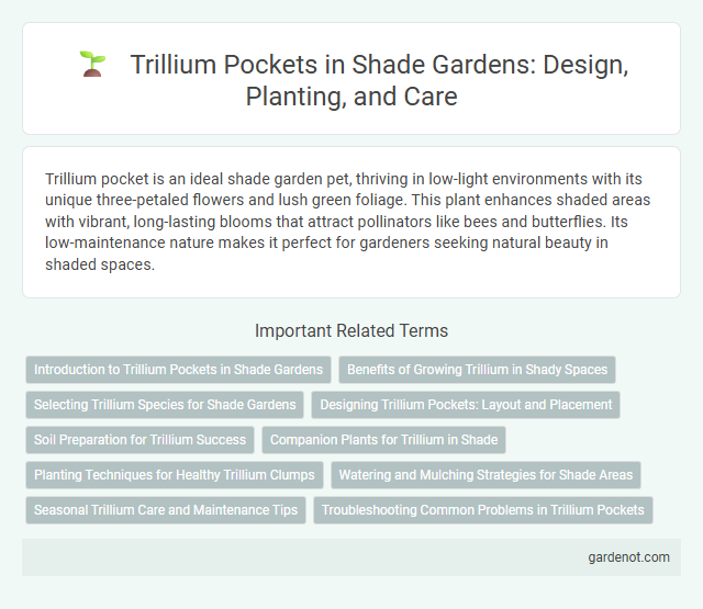 Trillium Pockets in Shade Gardens: Design, Planting, and Care