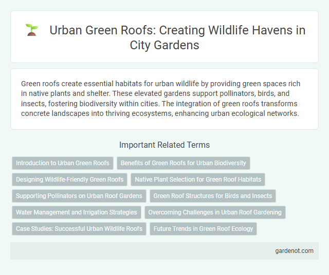 Urban Green Roofs: Creating Wildlife Havens in City Gardens