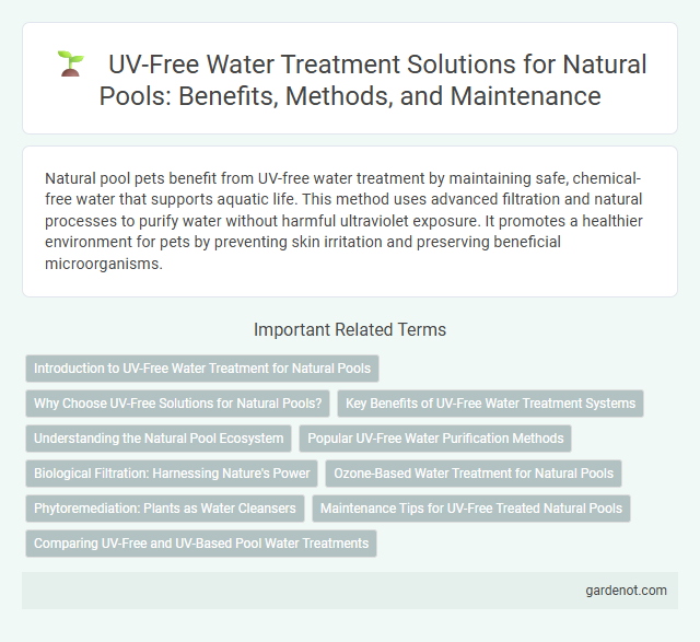 UV-Free Water Treatment Solutions for Natural Pools: Benefits, Methods, and Maintenance