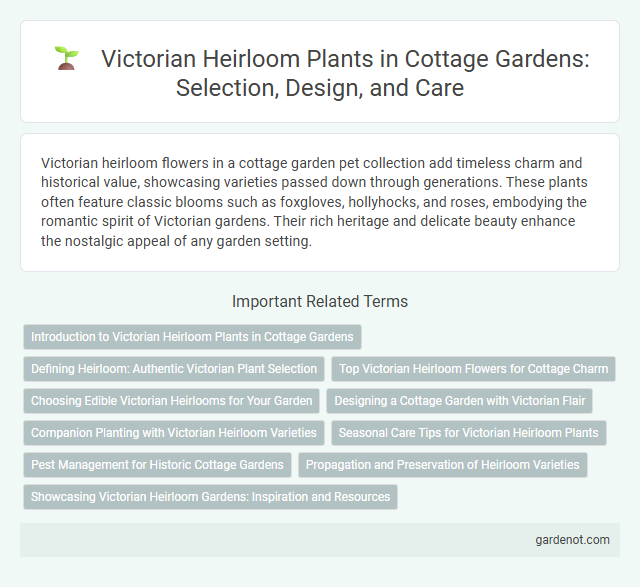 Victorian Heirloom Plants in Cottage Gardens: Selection, Design, and Care