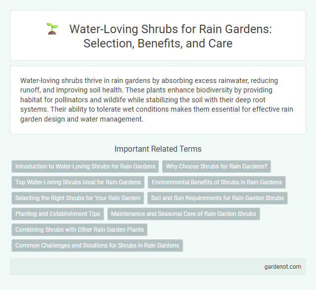Water-Loving Shrubs for Rain Gardens: Selection, Benefits, and Care