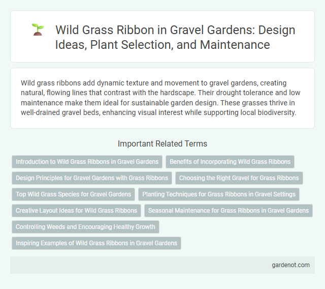 Wild Grass Ribbon in Gravel Gardens: Design Ideas, Plant Selection, and Maintenance