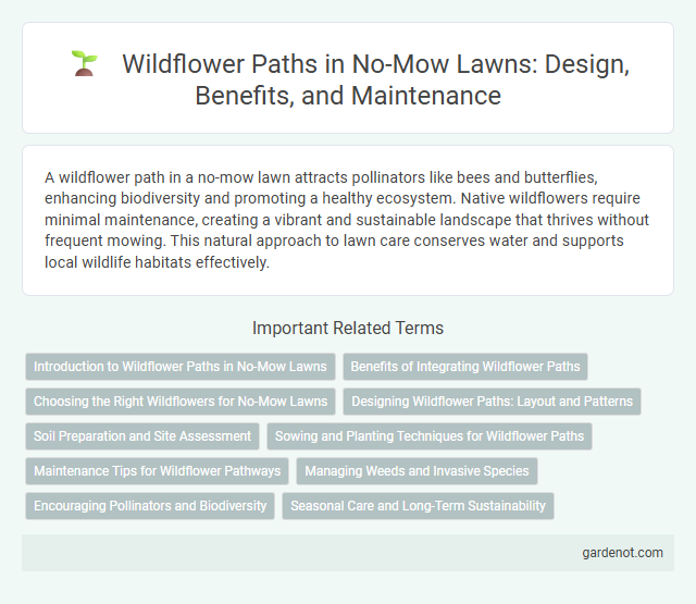 Wildflower Paths in No-Mow Lawns: Design, Benefits, and Maintenance