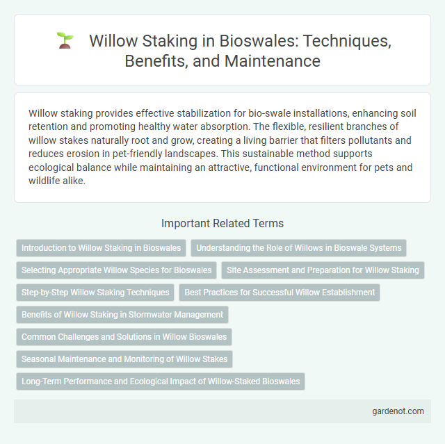 Willow Staking in Bioswales: Techniques, Benefits, and Maintenance